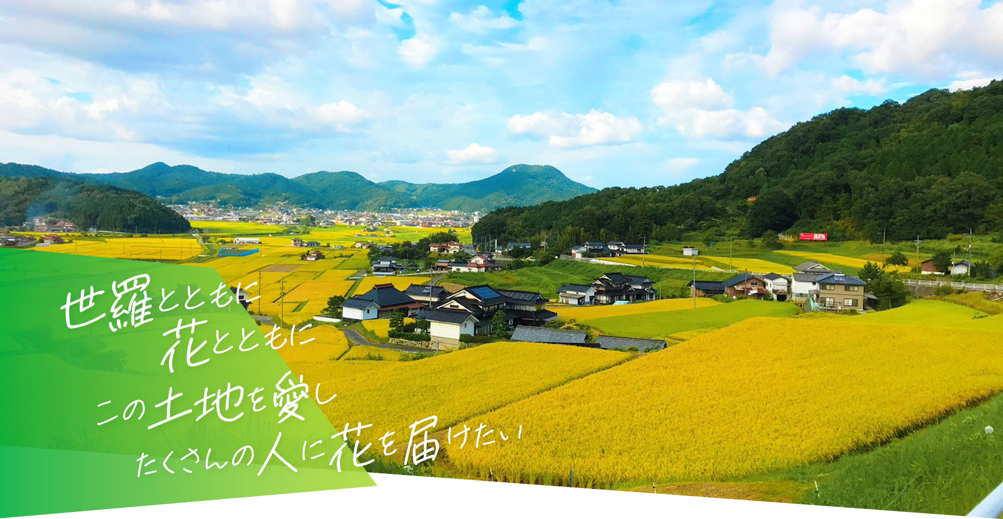世羅とともに。花とともに。私たち株式会社BAKUは花を信じ、お客様を信じ、 花と通して人に優しく、人を笑顔にする 会社です。