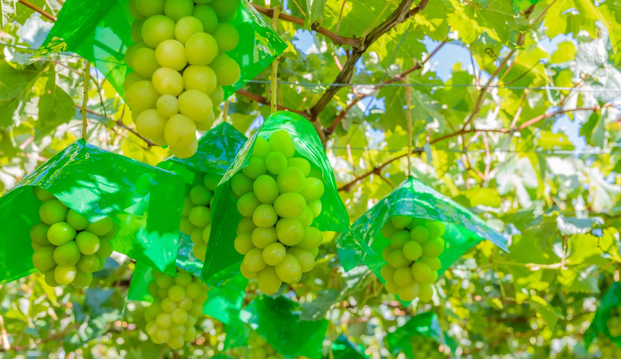 AdobeStock_298499796