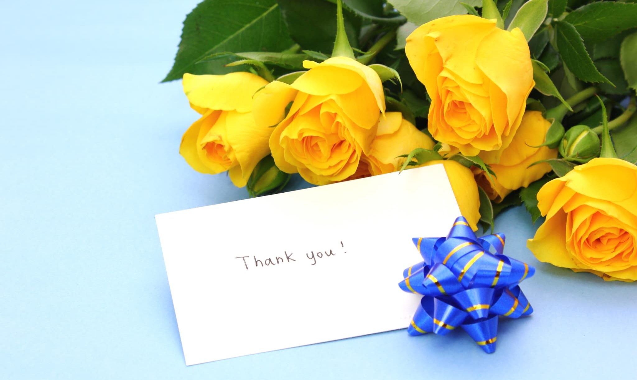 publicdomainq-0088216dtgkpn (1)