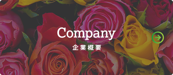 bnrhalf_company